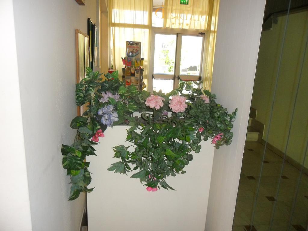 Hotel Madrid Rimini Bilik gambar